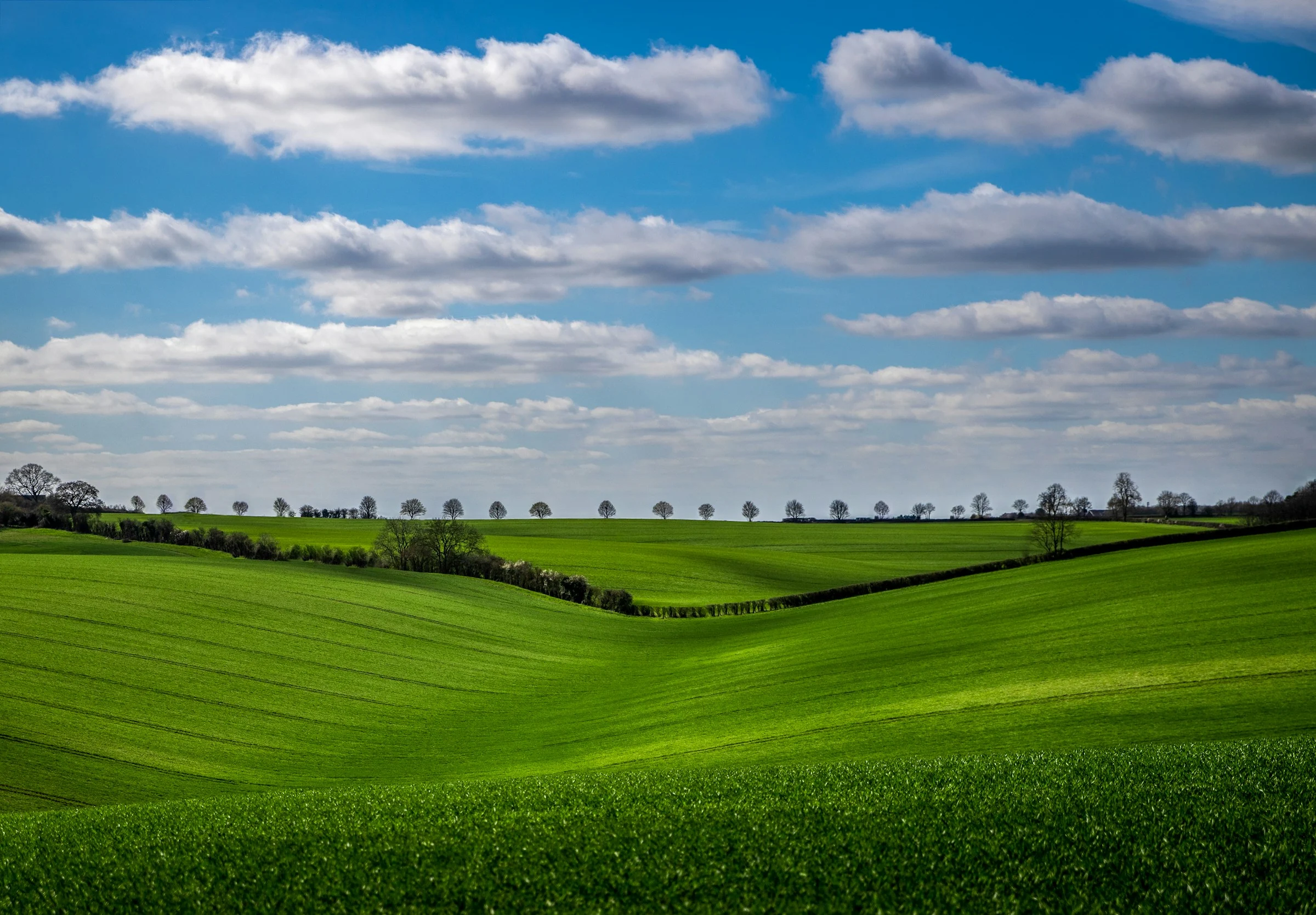 Green fields near Leafield in the Cotswolds, photographed by Kevin Bywater