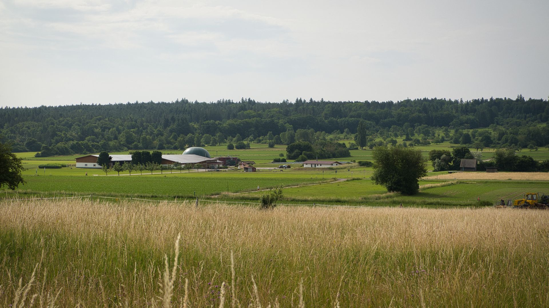 Open farmland
